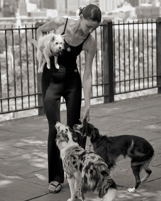 SRHWC Ribbed Trousers - Navy