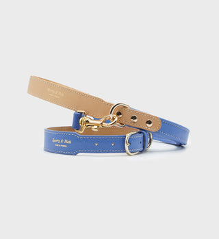 Tan and blue leather dog collars with gold hardware, coiled together on a white background, are perfectly complemented by the Leather Dog Leash - Ocean/Gold, a luxury dog leash crafted from supple calf leather.