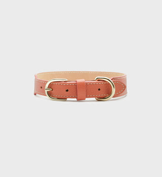 Leather Dog Collar - Coral/Gold with gold hardware and stitching, shown on a plain light background—a luxury accessory crafted in France.