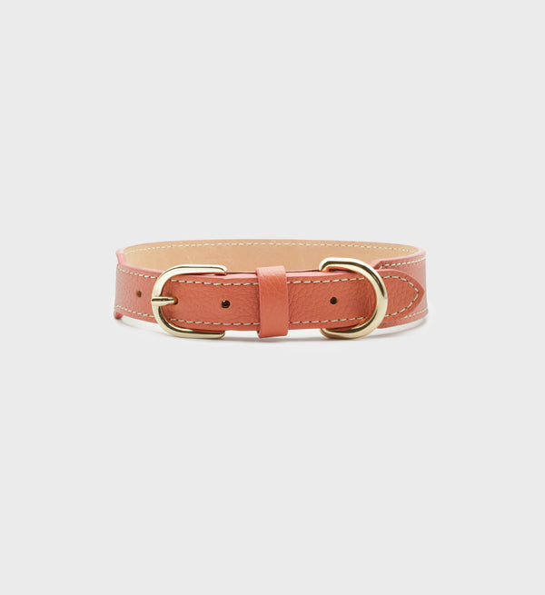 Leather Dog Collar - Coral/Gold with gold hardware and stitching, shown on a plain light background—a luxury accessory crafted in France.