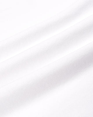 Solid light gray color swatch