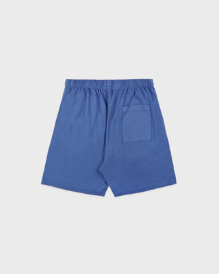 Blue shorts on a light gray background