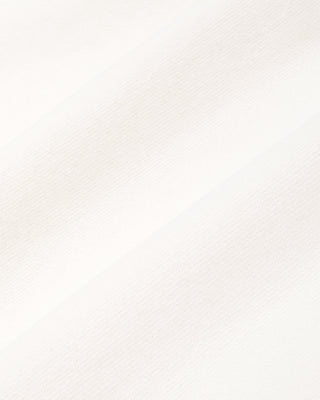 Solid light gray color swatch