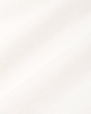 Solid light gray color swatch