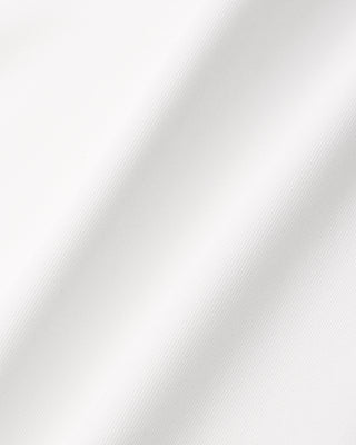 Solid light gray color swatch