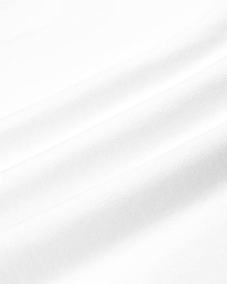 Solid light gray color swatch