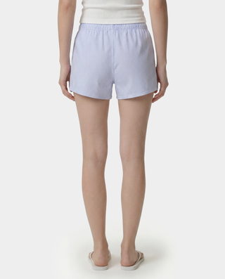 SRC Mini Boxer - Blue Striped