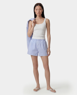 SRC Mini Boxer - Blue Striped