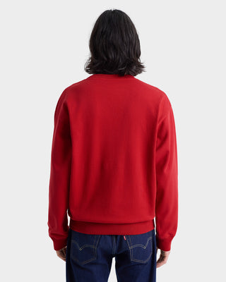 Person wearing a red sweatshirt on a white background