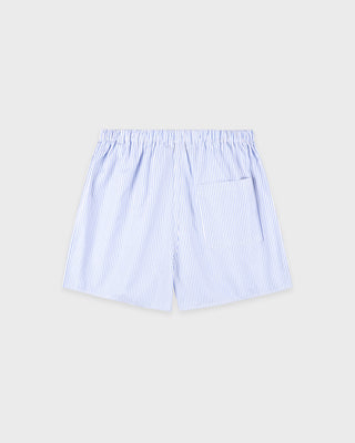 Blue striped boxer shorts on a light gray background