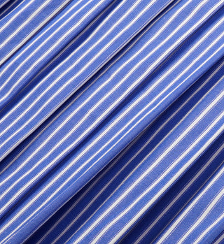 SRC Anae Skirt - Blue Striped