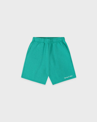 Teal shorts on a light gray background