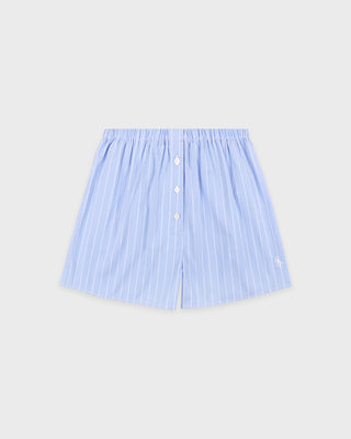 Light blue pleated skirt on a white background