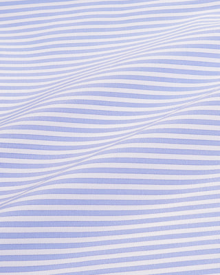 SRC Mini Boxer - Blue Striped