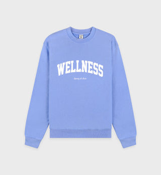 Wellness Ivy Crewneck - Flax blue