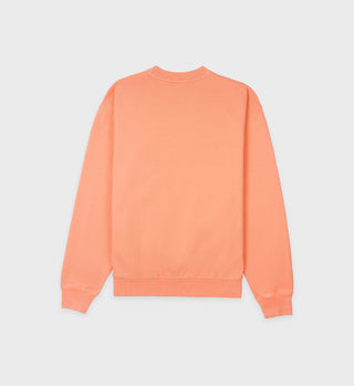 Health & Wellness Crewneck - Guava